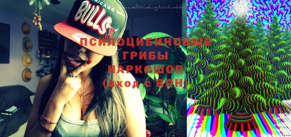 СК Надым