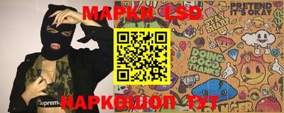 крисы Камышлов