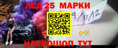 крисы Камышлов