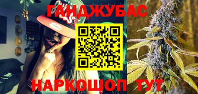 крисы Камышлов