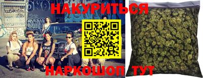крисы Камышлов