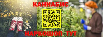крисы Камышлов