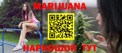 крисы Камышлов