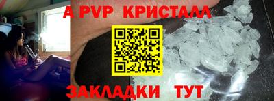 крисы Камышлов