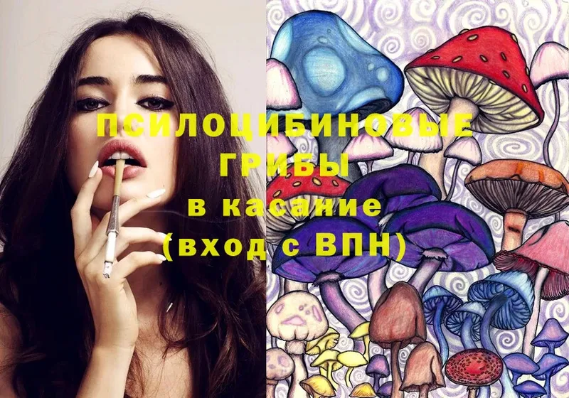 Галлюциногенные грибы MAGIC MUSHROOMS  купить   Сафоново 