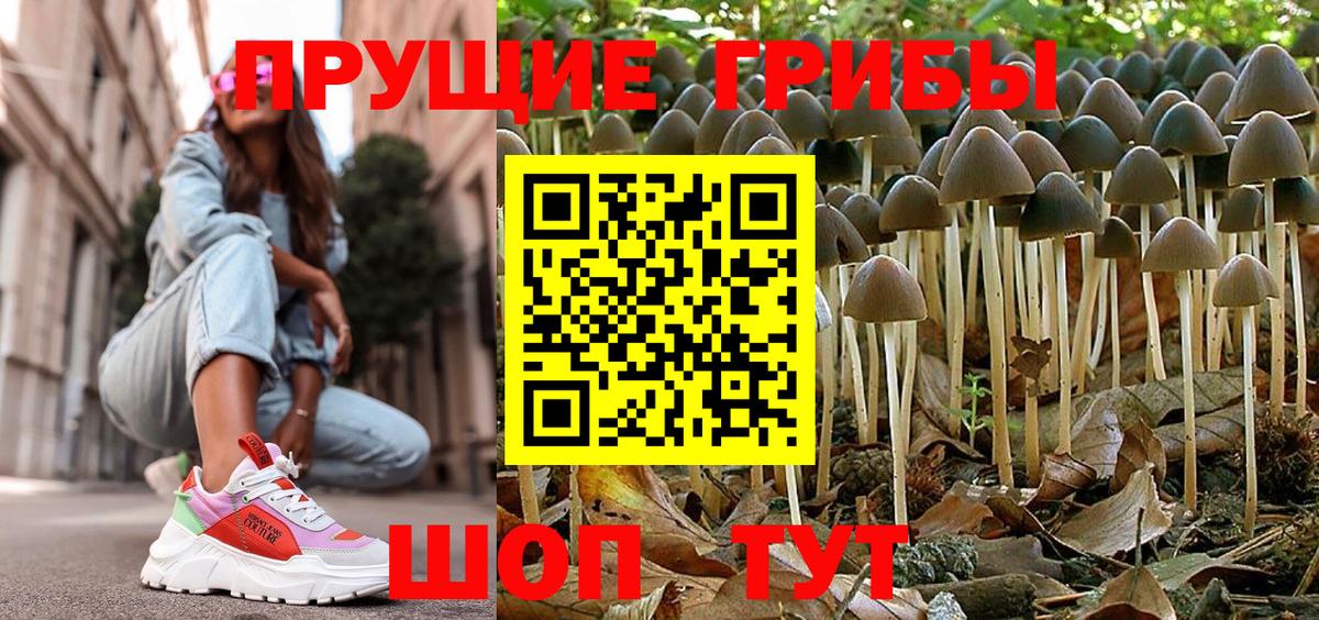 Галлюциногенные грибы мицелий  дарнет шоп  Галлюциногенные грибы Psilocybe  Сафоново 